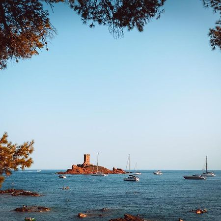 Saint-Raphaël Plage A 200 Metres. Vue Mer Et Esterel ! Renove 아파트 외부 사진